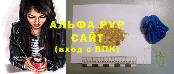 шишки Горно-Алтайск