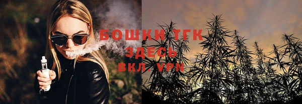 шишки Горно-Алтайск