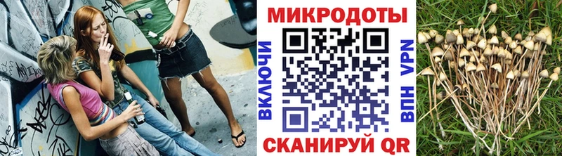 Галлюциногенные грибы мухоморы  Енисейск 